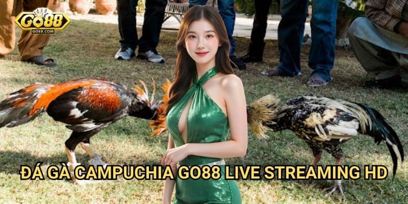 Đá gà Campuchia Go88 - Trực tiếp từ trường gà nổi tiếng 3 Đá gà Campuchia Go88 - Live streaming HD