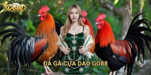 Đá gà cựa dao Go88 - Thể loại đá gà kịch tính