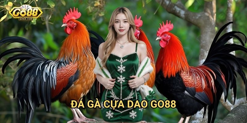 Đá gà cựa dao Go88 - Thể loại đá gà kịch tính 1 Đá gà cựa dao Go88 - Thể loại đá gà kịch tính