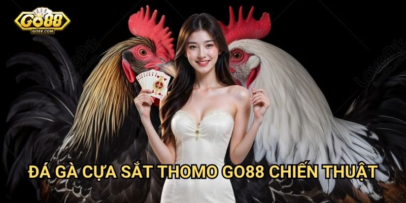 Đá gà cựa sắt Thomo Go88 - Chiến thuật