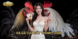 Đá gà cựa sắt Thomo Go88 - Môn thể thao truyền thống