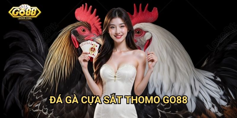 Đá gà cựa sắt Thomo Go88 - Môn thể thao truyền thống