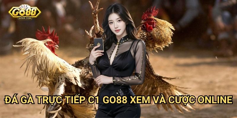 Đá gà trực tiếp C1 Go88 - Xem và cược online