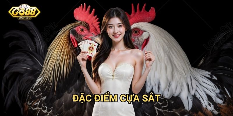 Đặc điểm cựa sắt
