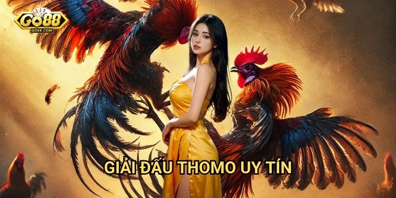 Đá gà Thomo Go88 - Đấu trường gà chọi số 1 2 Giải đấu Thomo uy tín