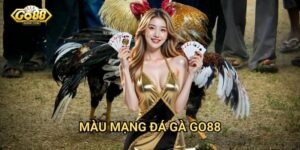 Màu mạng đá gà Go88 - Phân loại chi tiết